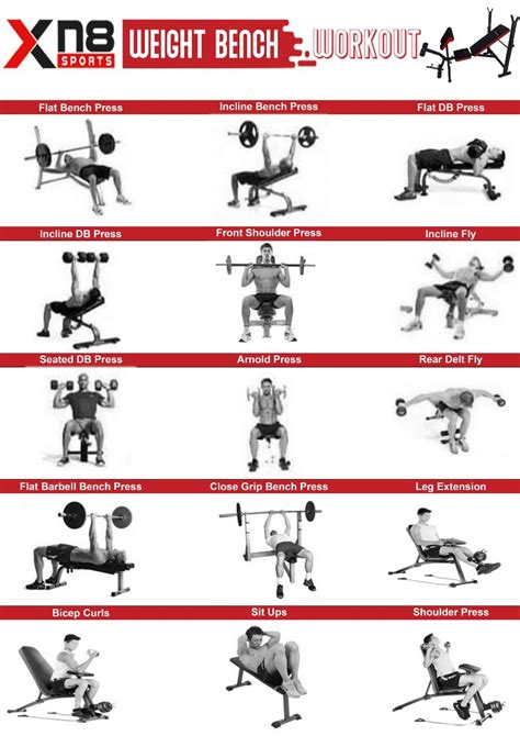 weight bench total body workout